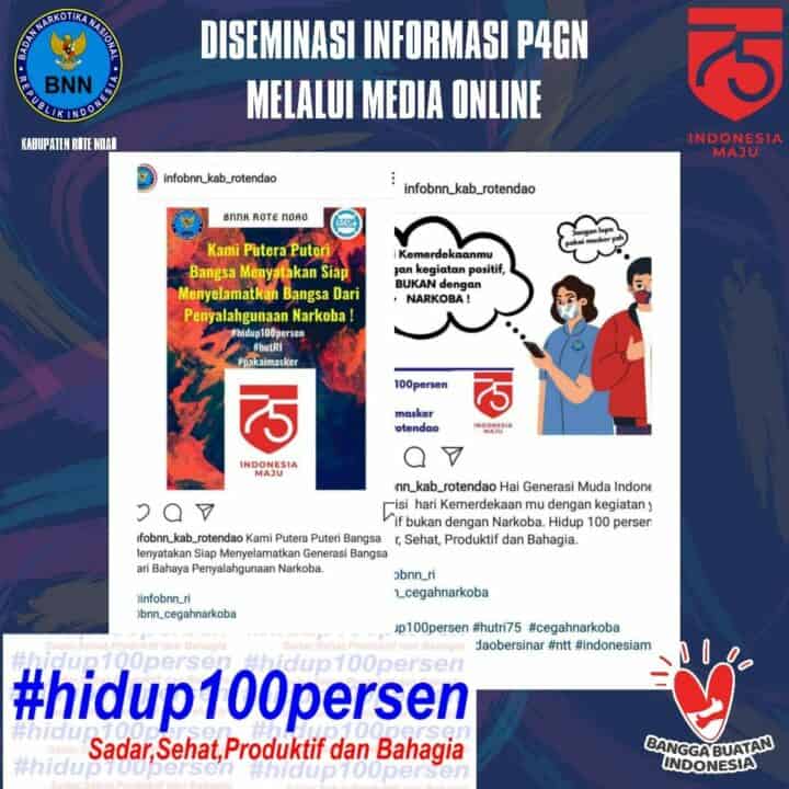Diseminasi Informasi P4GN Melalui Media Online