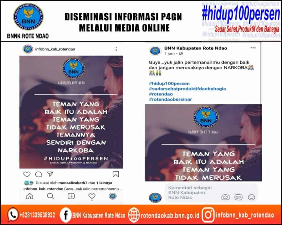 Diseminasi Informasi P4GN Melalui Media Online