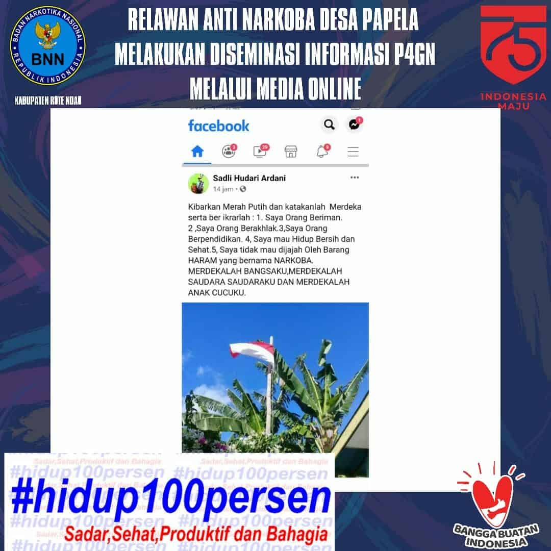 Relawan Anti Narkoba Desa Papela Rote Timur Melakukan Diseminasi Informasi P4GN Melalui Media Online Relawan Anti Narkoba Desa Papela Rote Timur Melakukan Diseminasi Informasi P4GN Melalui Media Online
