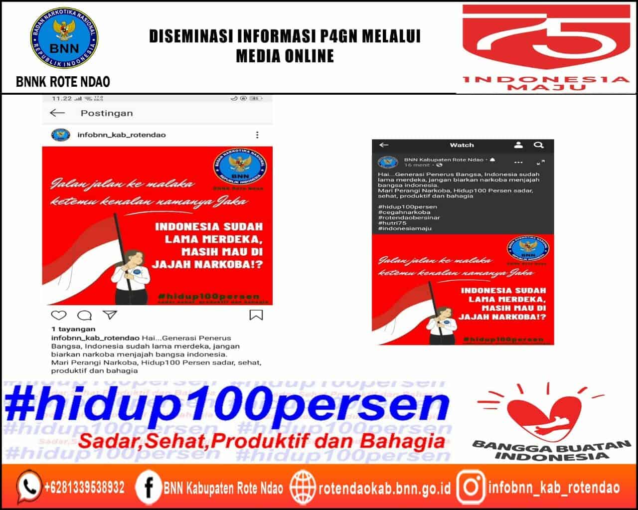 Diseminasi Informasi P4GN Melalui Media Online Diseminasi Informasi P4GN Melalui Media Online