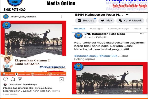 Diseminasi Informasi P4GN Melalui Media Online Diseminasi Informasi P4GN Melalui Media Online