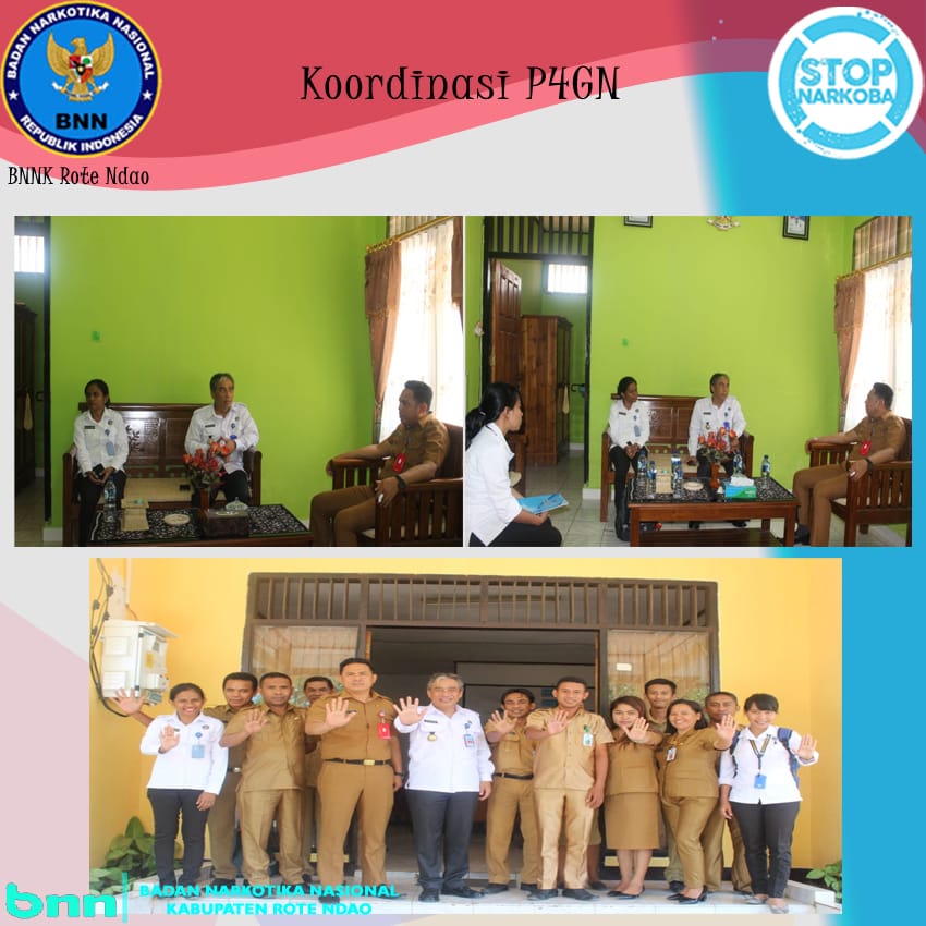 Koordinasi P4GN Koordinasi P4GN