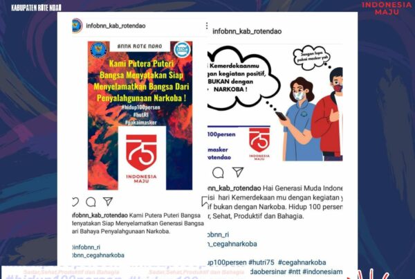 Diseminasi Informasi P4GN Melalui Media Online