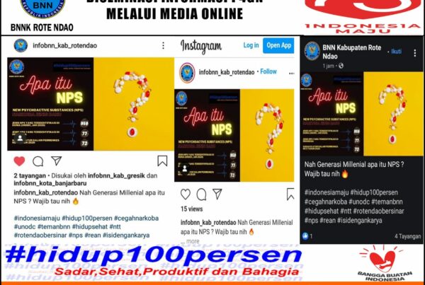 Diseminasi Informasi P4GN Melalui Media Online Apa itu NPS?