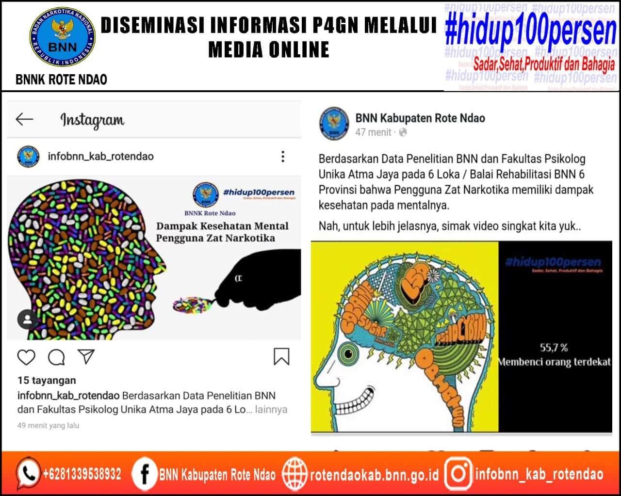 Diseminasi Informasi P4GN Melalui Media Online Diseminasi Informasi P4GN Melalui Media Online