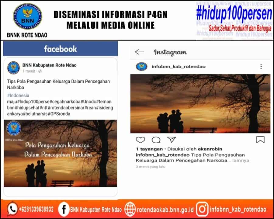 Diseminasi Informasi P4GN Melalui Media Online