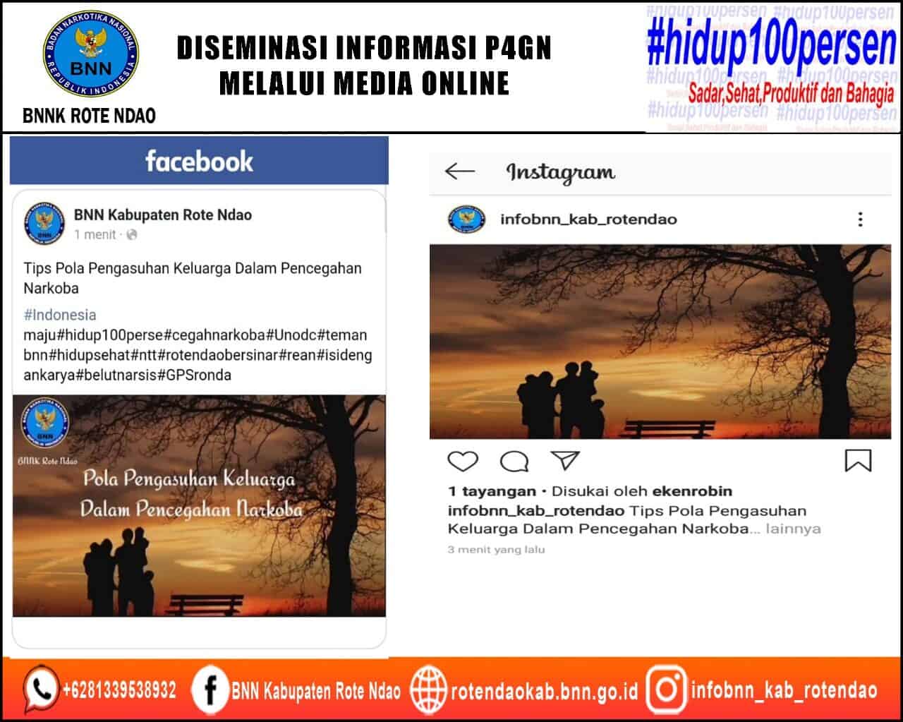 Diseminasi Informasi P4GN Melalui Media Online Diseminasi Informasi P4GN Melalui Media Online