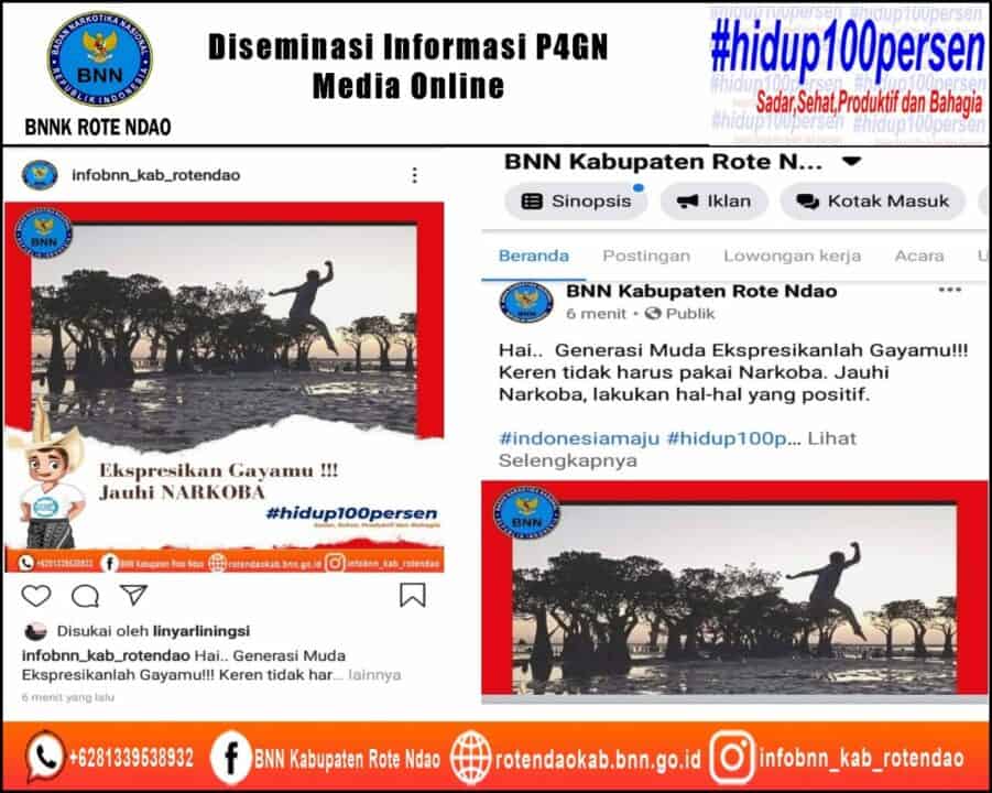 Diseminasi Informasi P4GN Melalui Media Online