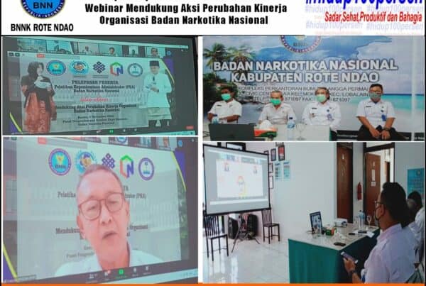 Mengikuti Kegiatan Pelepasan Peserta Pelatihan Kepempinan Administrator (PKA) BNN dalam Webinar Mendukung Aksi Perubahan Kinerja Organisasi BNN