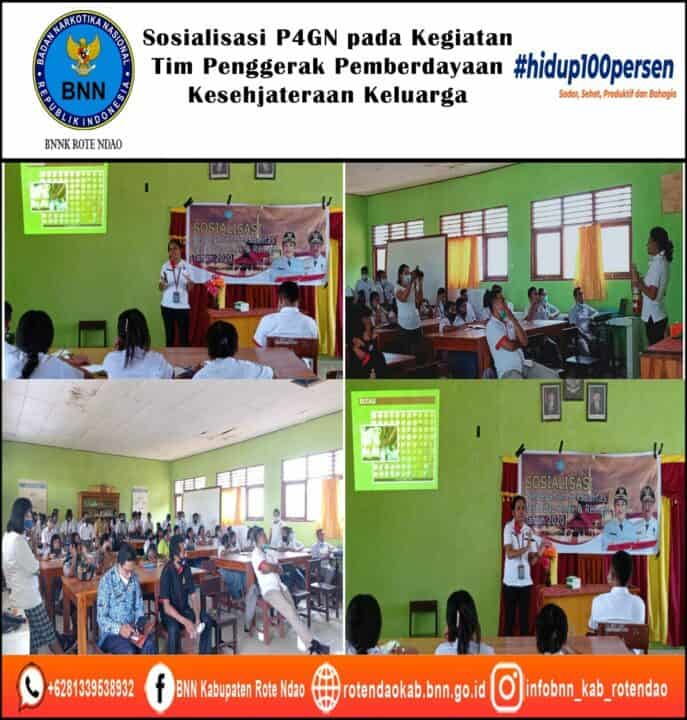 Sosialisasi P4GN pada Kegaiatan Tim Penggerak Pemberdayaan Kesejahteraan Keluarga