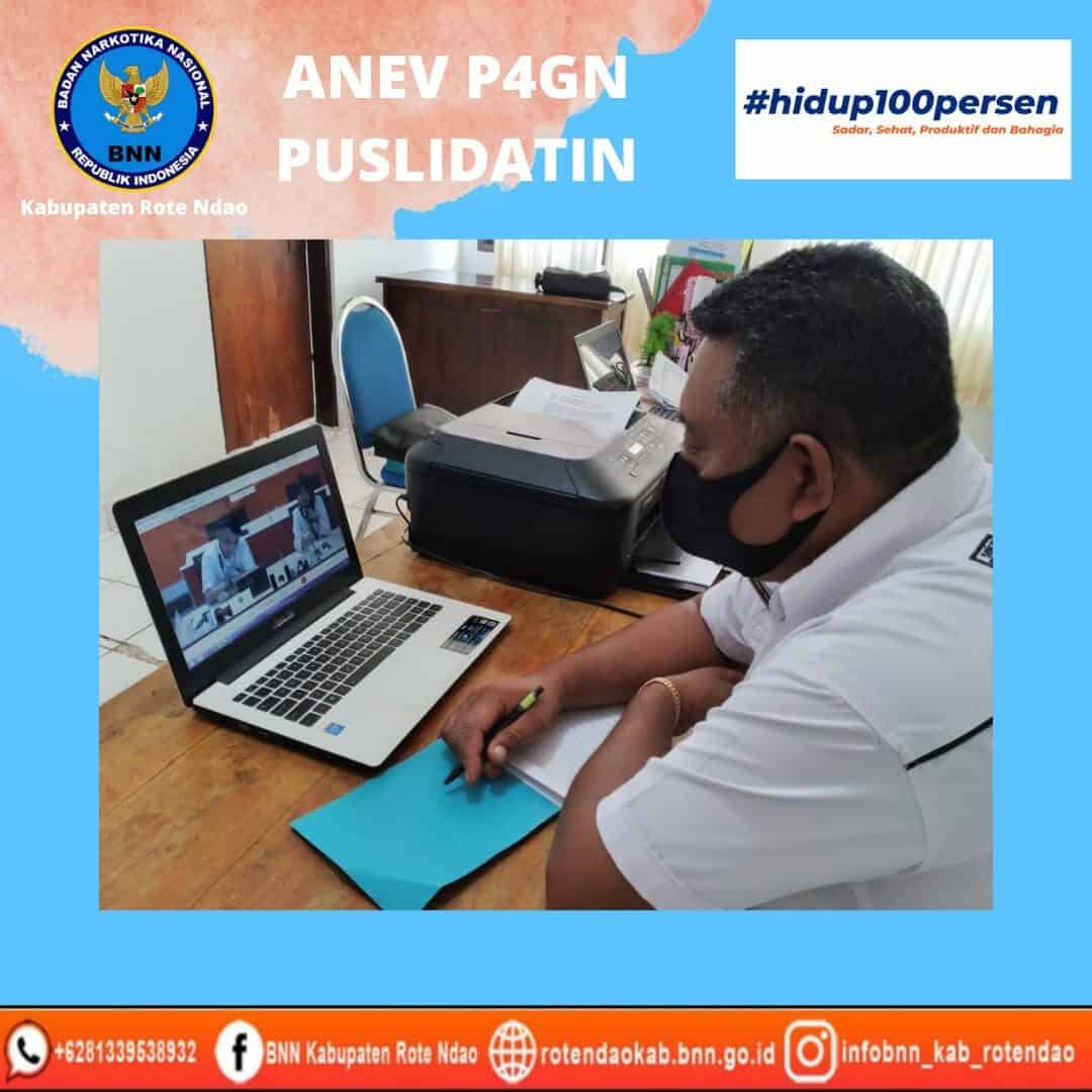 Anev Puslidatin Anev Puslidatin