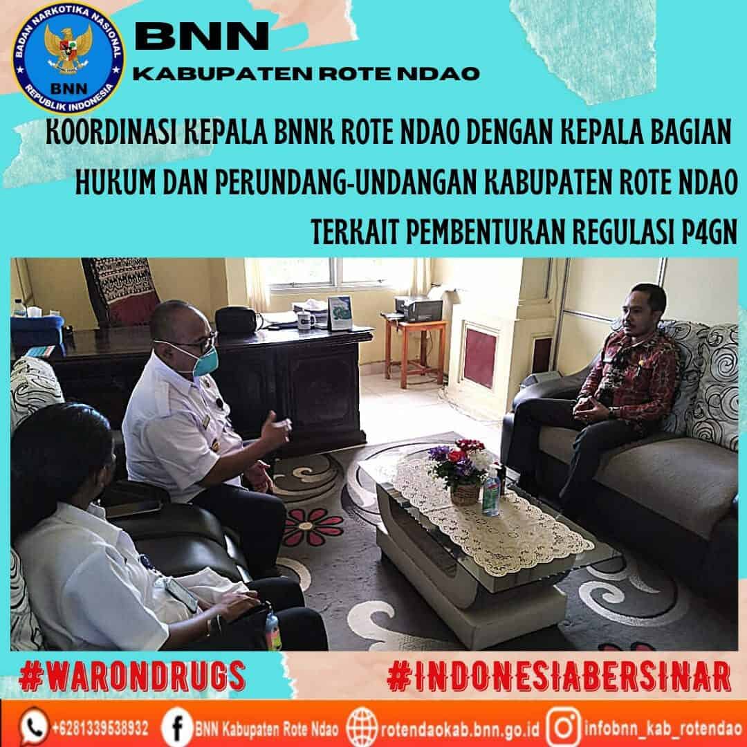 Koordinasi Kepala BNNK Rote Ndao dengan Kabag Hukum dan Perundang - undangan Setda Kabupaten Rote Ndao terkait Pembentukan regulasi P4GN Koordinasi Kepala BNNK Rote Ndao dengan Kabag Hukum dan Perundang – undangan Setda Kabupaten Rote Ndao terkait Pembentukan regulasi P4GN