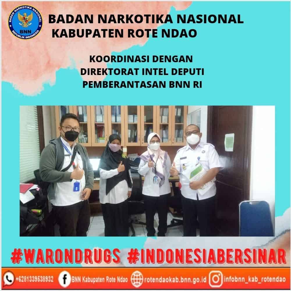 Koordinasi Kepala BNNK Rote Ndao dengan Direktorat Intel Deputi Pemberantasan BNN RI Koordinasi Kepala BNNK Rote Ndao dengan Direktorat Intel Deputi Pemberantasan BNN RI