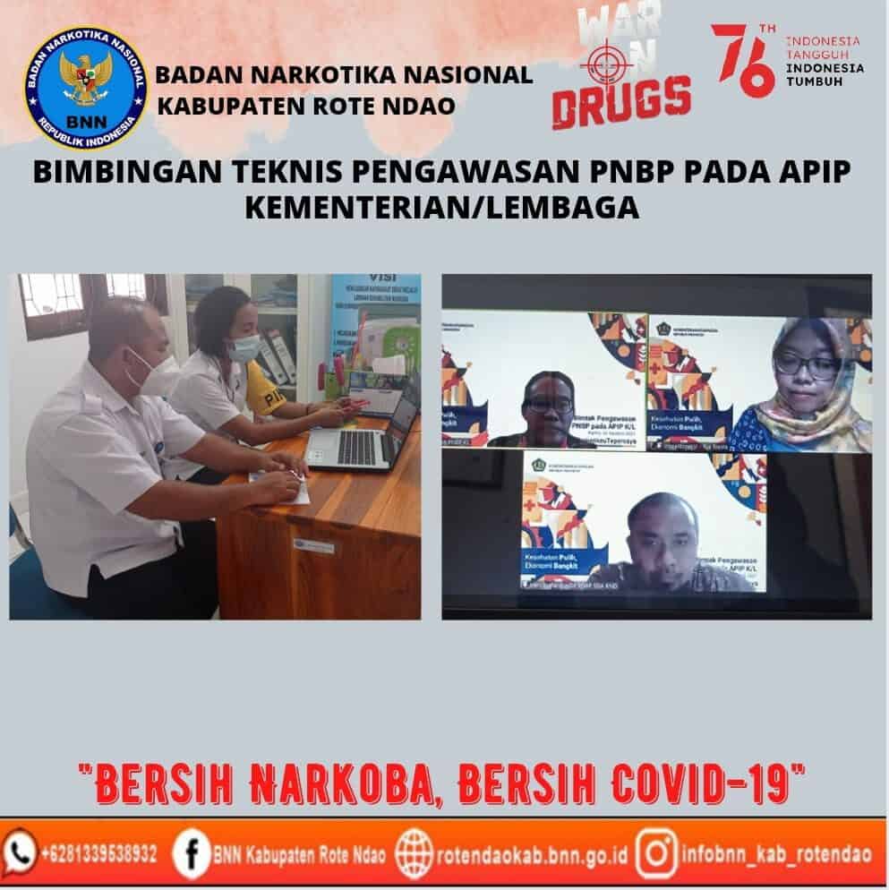 Bimbingan Teknis Pengawasan pada APIP Kementerian/Lembaga Bimbingan Teknis Pengawasan pada APIP Kementerian/Lembaga