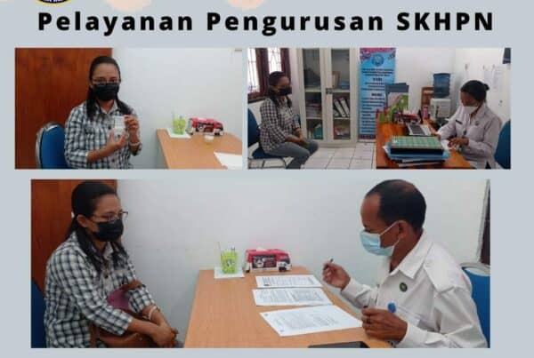 Pelayanan pengurusan SKHPN di Klinik Pratama BNNK Rote Ndao