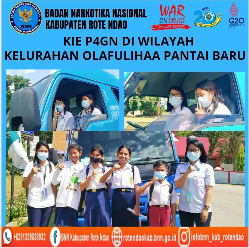 KIE P4GN di wilayah Kelurahan Olafulihaa Kecamatan Pantai Baru KIE P4GN di wilayah Kelurahan Olafulihaa Kecamatan Pantai Baru