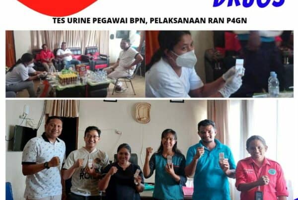 Tes Urine Pegawai BPN Kabupaten Rote Ndao, Pelaksanaan RAN P4GN Konsep Otomatis