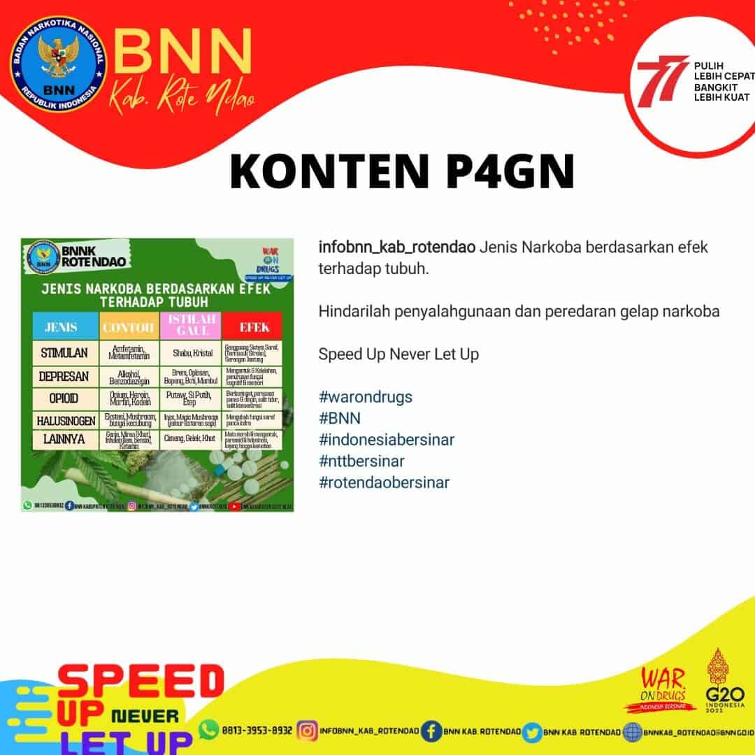 Konten P4GN Konten P4GN
