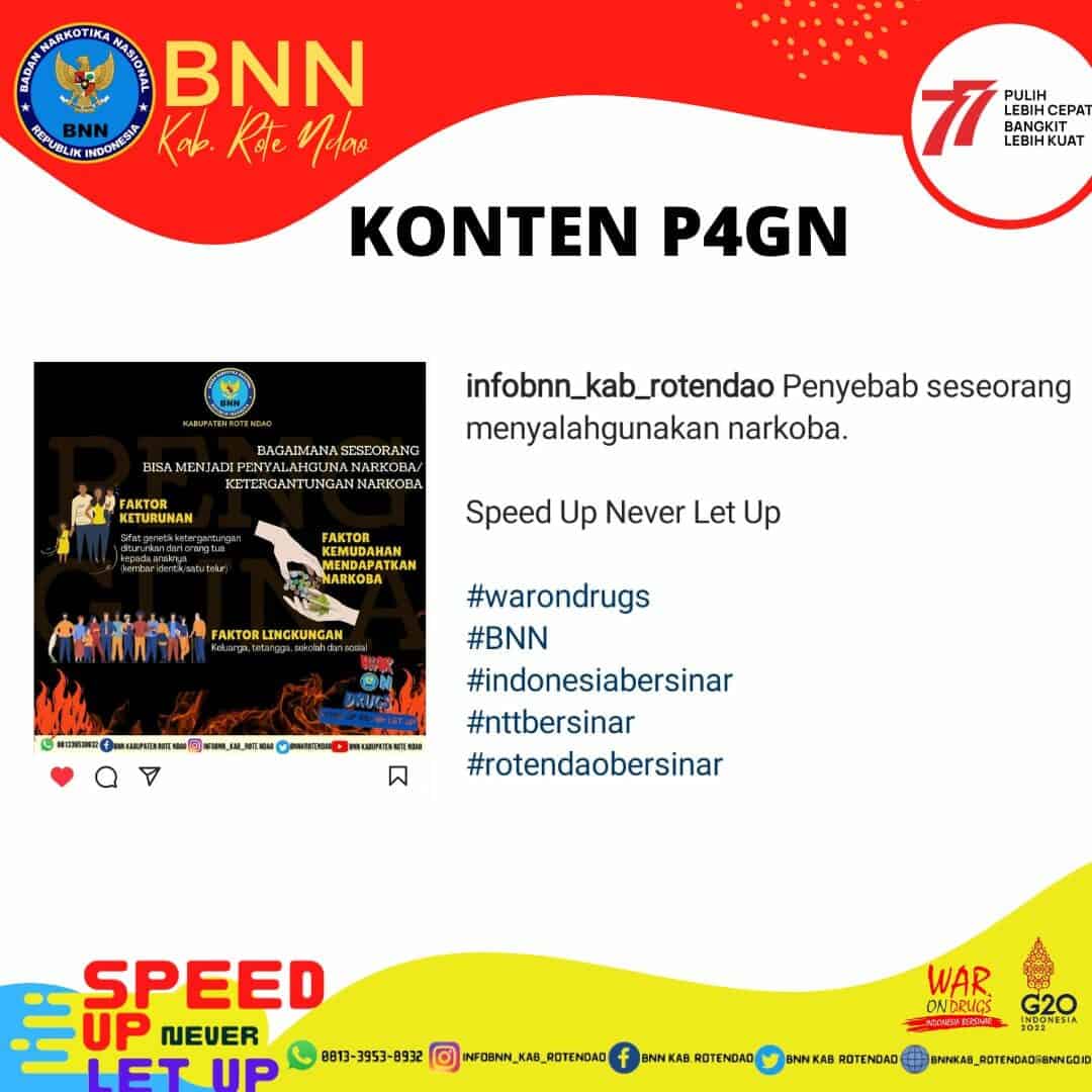 Konten P4GN Konten P4GN