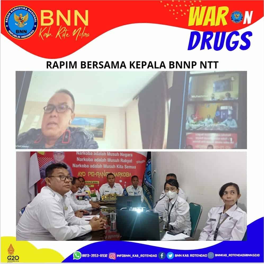 Rapat Bersama Kepala BNNP NTT secara virtual Rapat Bersama Kepala BNNP NTT secara virtual