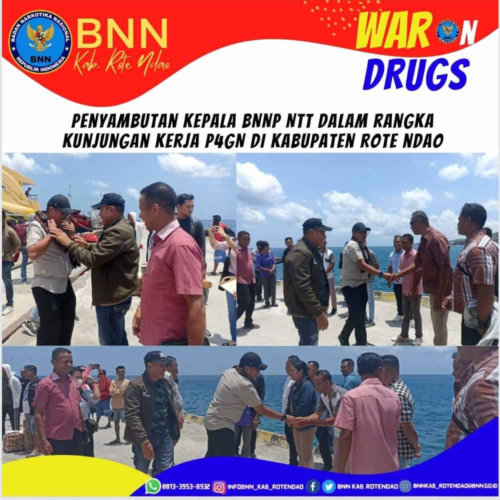 Penyambutan Kepala BNNP NTT dalam rangka kunjungan kerja P4GN di Kabupaten Rote Ndao Penyambutan Kepala BNNP NTT dalam rangka kunjungan kerja P4GN di Kabupaten Rote Ndao