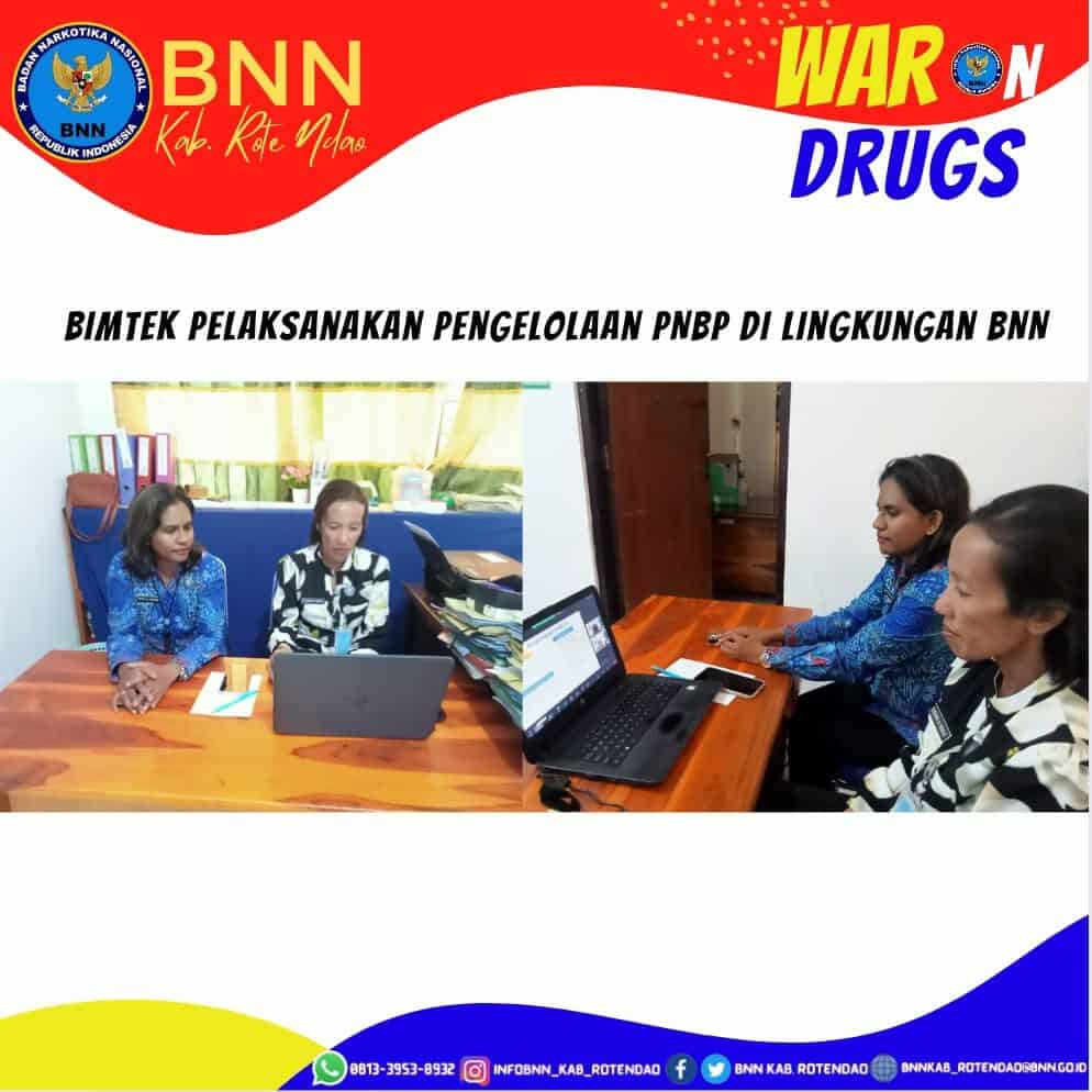 Vidcon Bimtek Pelaksanaan Pengelolaan PNBP di Lingkungan BNN Vidcon Bimtek Pelaksanaan Pengelolaan PNBP di Lingkungan BNN