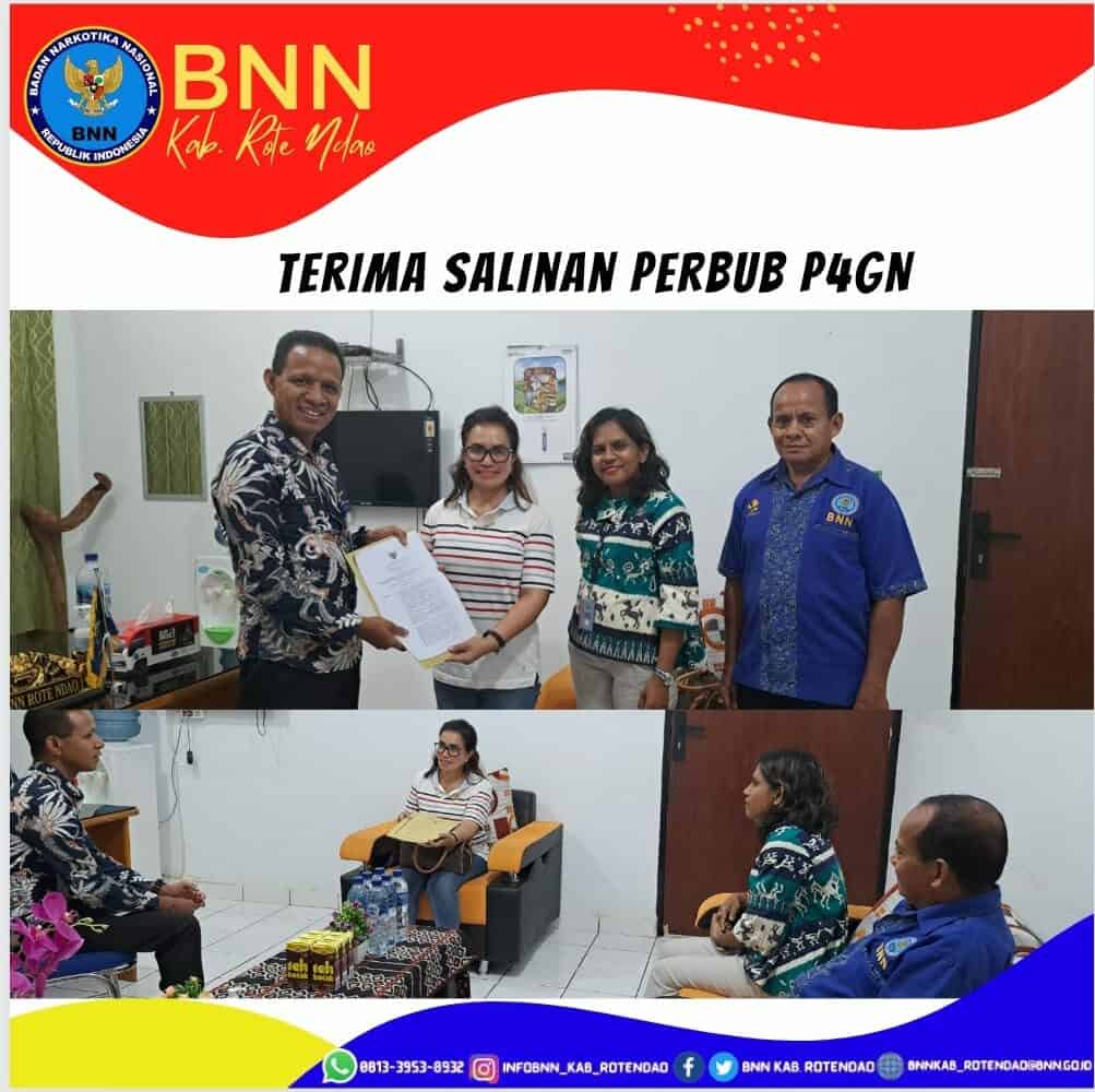 Plt. Kepala BNNK Rote Ndao Menerima Salinan Perbub P4GN Plt. Kepala BNNK Rote Ndao Menerima Salinan Perbub P4GN