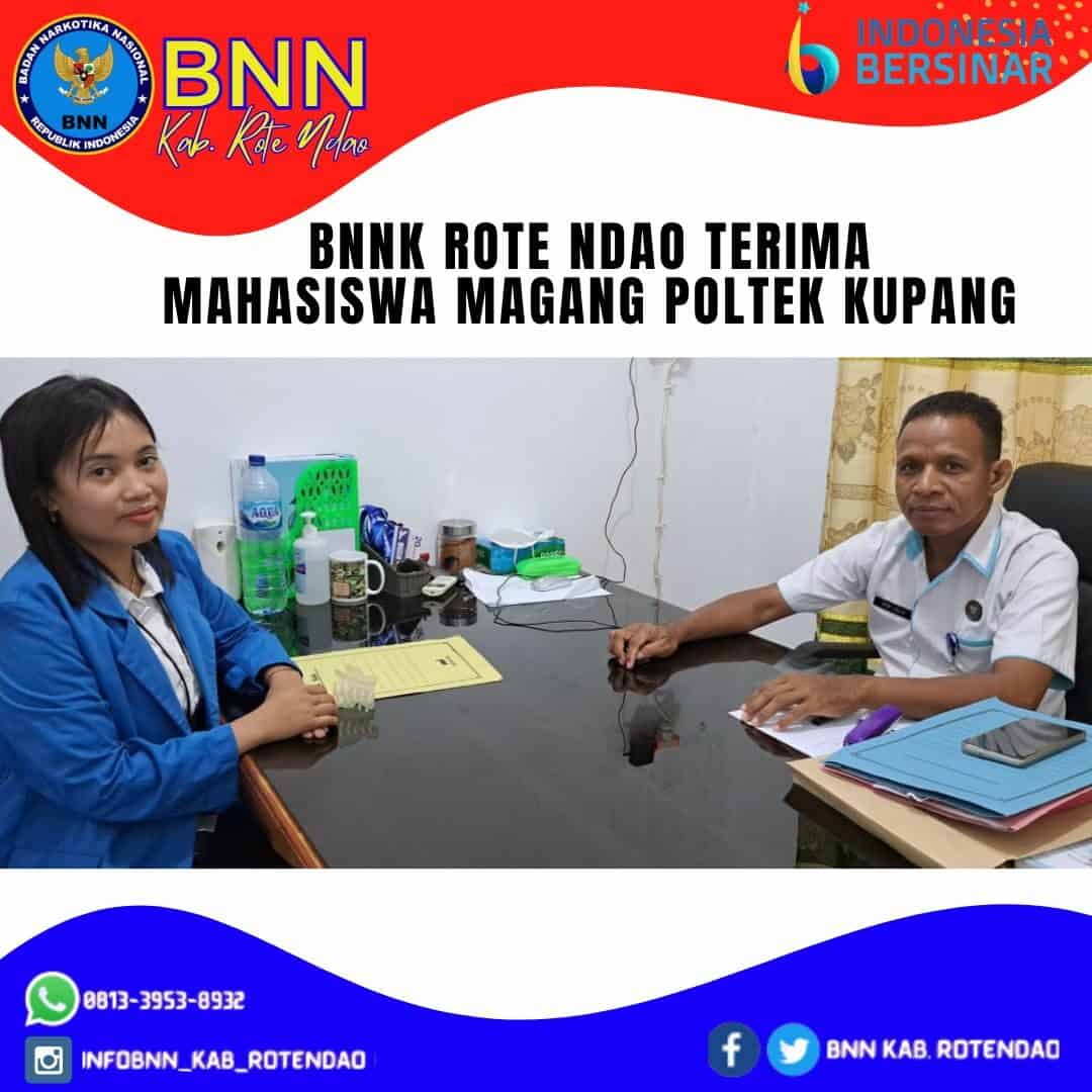 BNNK Rote Ndao Terima Mahasiswa Magang Poltek Kupang BNNK Rote Ndao Terima Mahasiswa Magang Poltek Kupang
